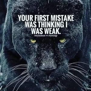 Meet your Posher, Robbin